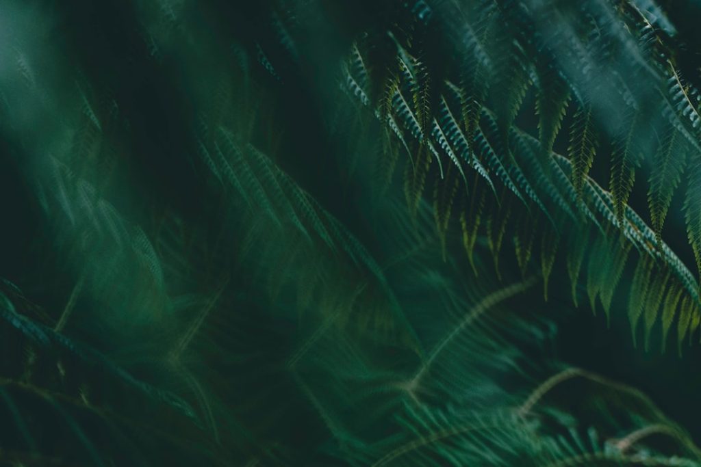 Photo Color grading